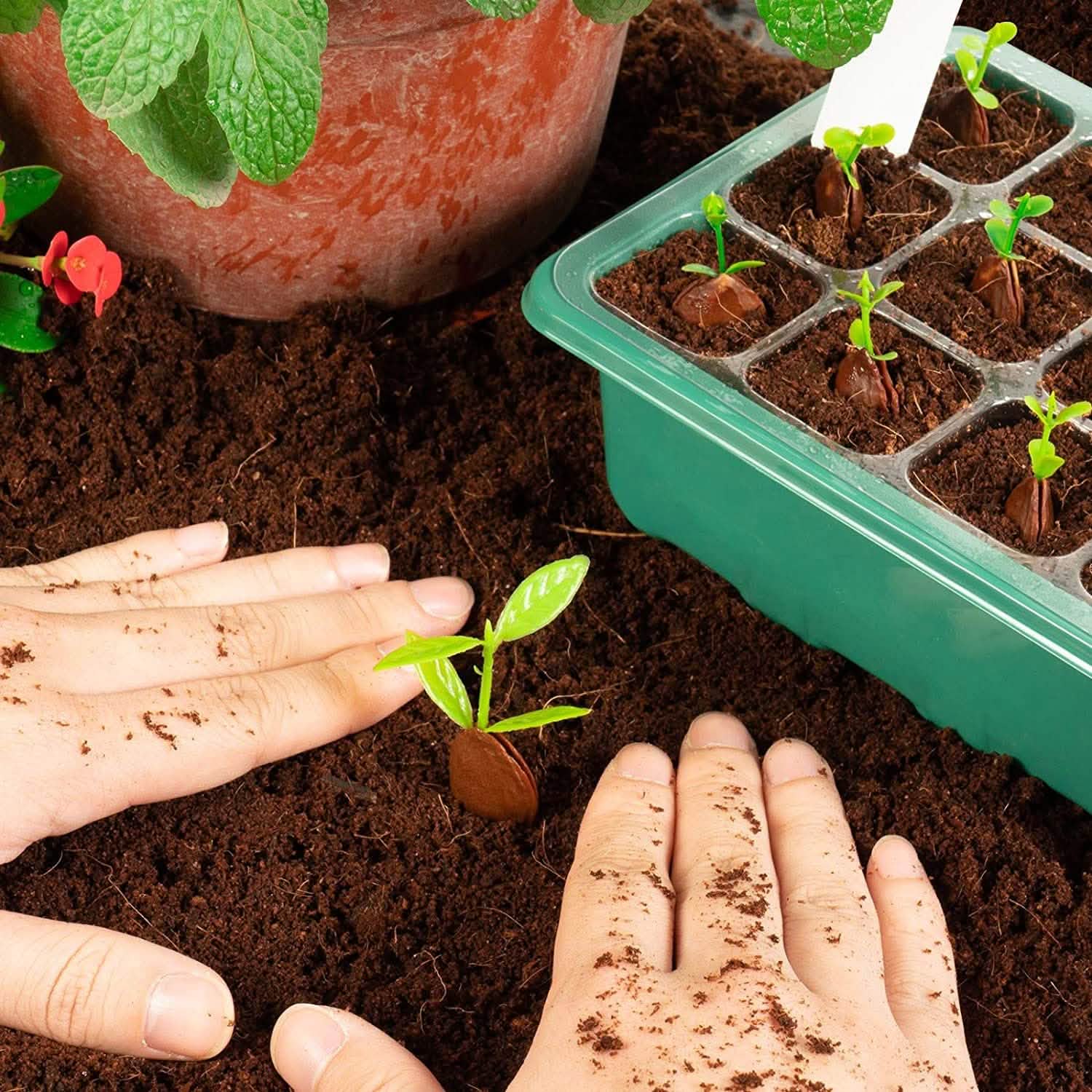 10-Piece: Reusable Seed Starter Tray Kit