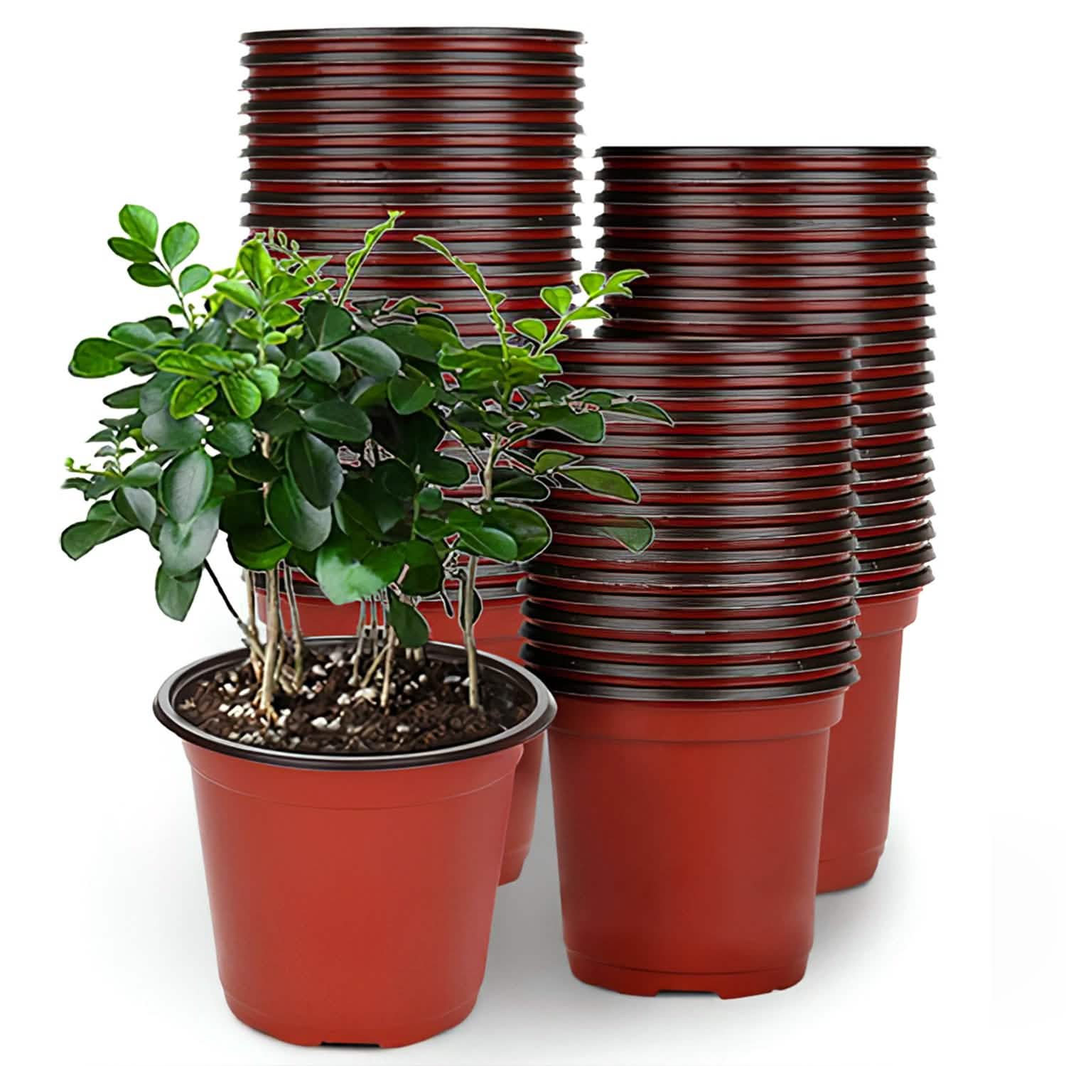 100-Piece: Plastic Plant Nursery Pots