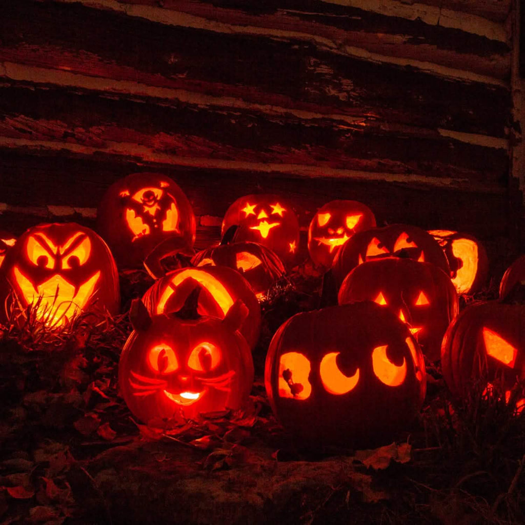 13-Pieces: Halloween Pumpkin Stainless Steel Carving Kit