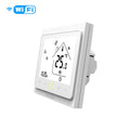LCD Thermostat With Built-In Probe
