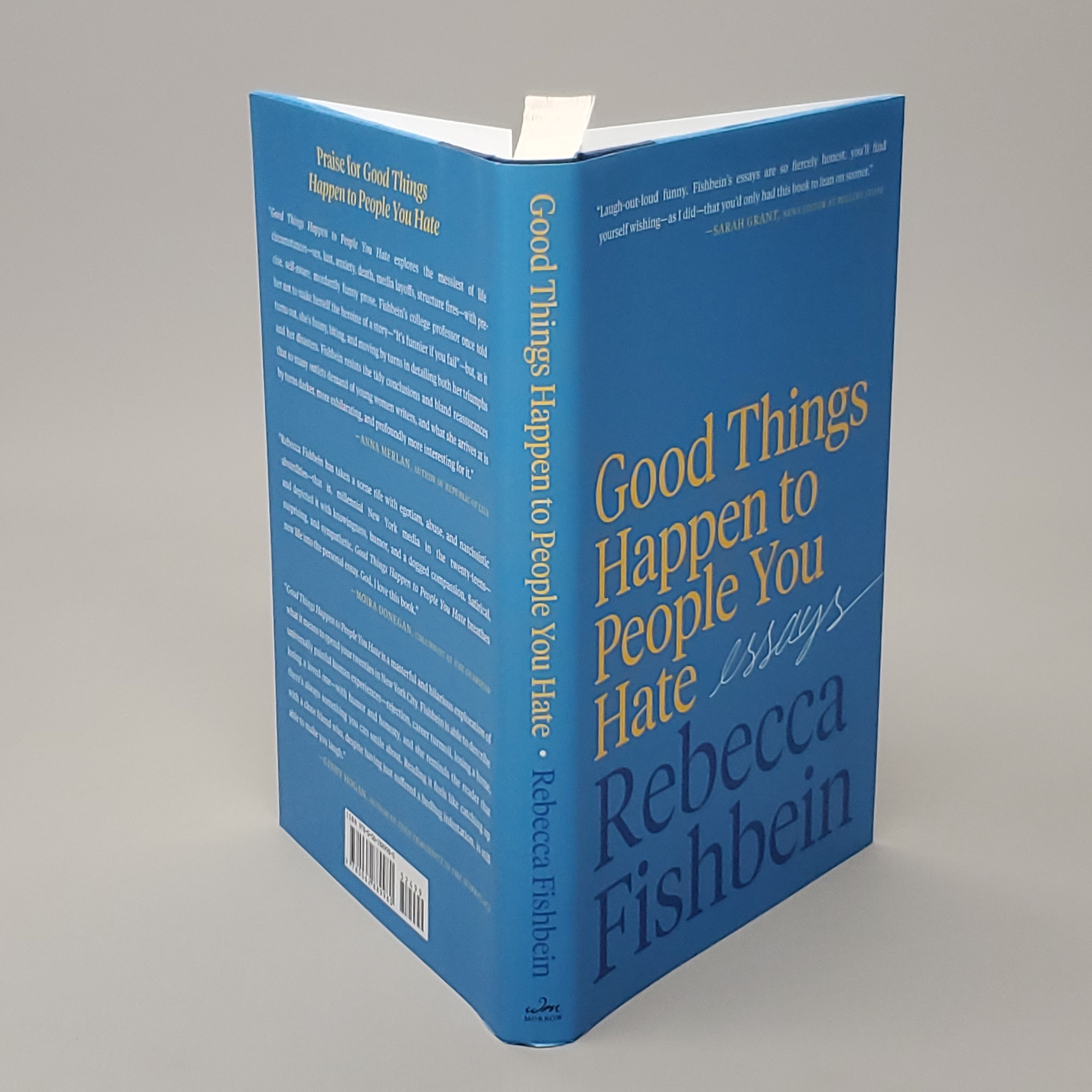 GOOD THINGS HAPPEN TO PEOPLE YOU HATE ESSAYS by Rebecca Fishbein Book Hardcover (New)