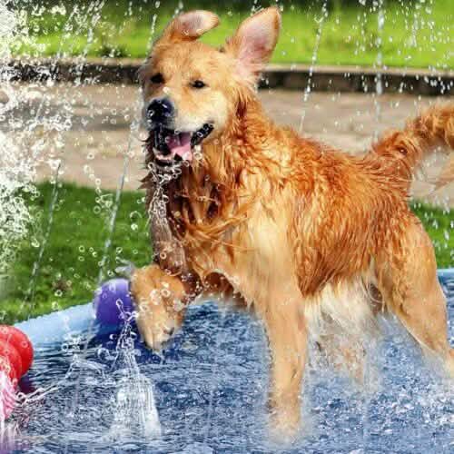 170CM Splash Play Mat Inflatable Water Toy Sprinkler Pad Kid Toddler Dog