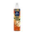 Glade Aerosol Pumpkin & Ginger Air Freshener (8oz)