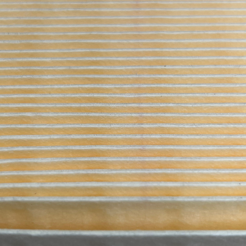 PERFORMAX Air Filter PA-578 Automotive Air Filter