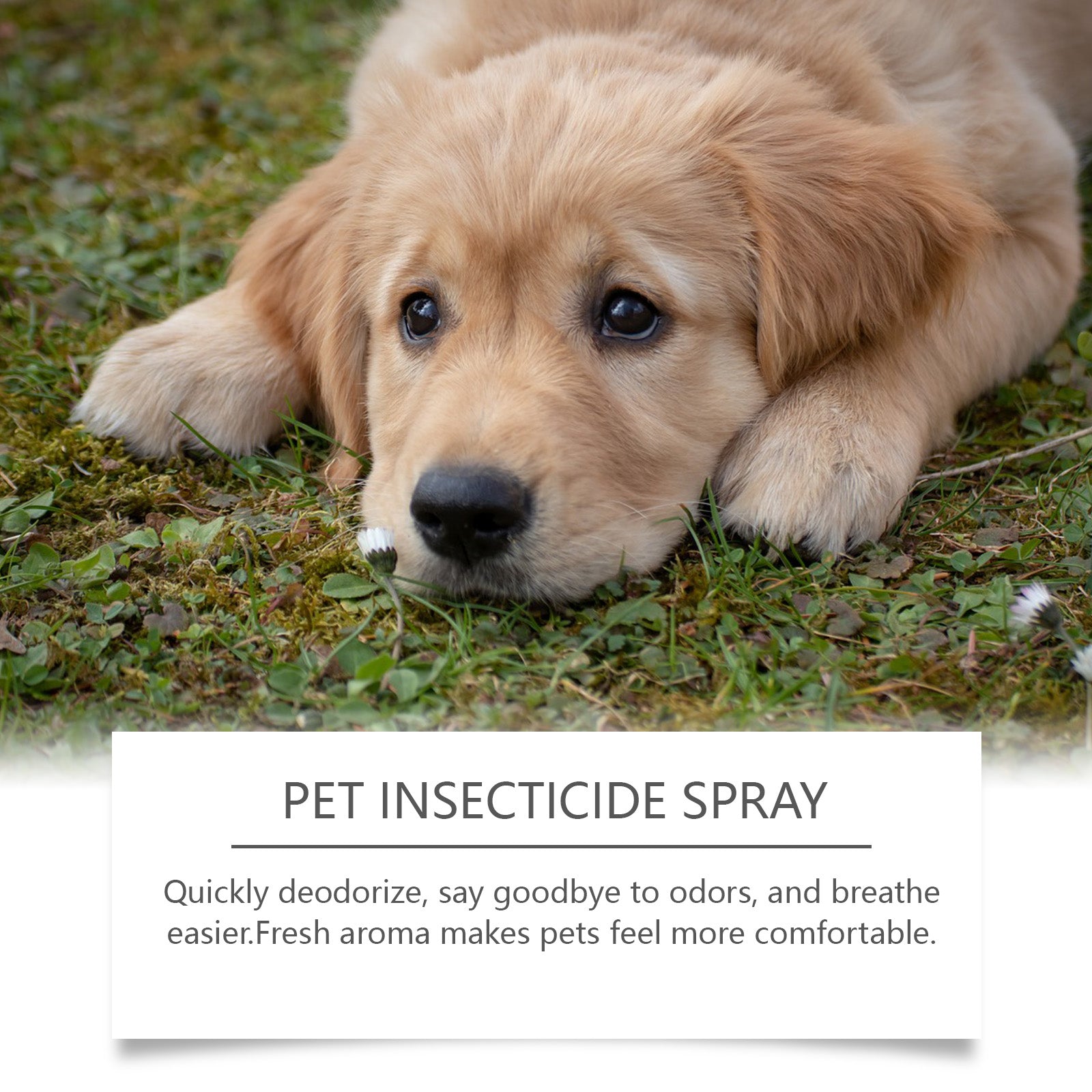 Pet Deodorant Spray, Cat And Dog Flea Liquid Deodorant Body Deodorant Spray