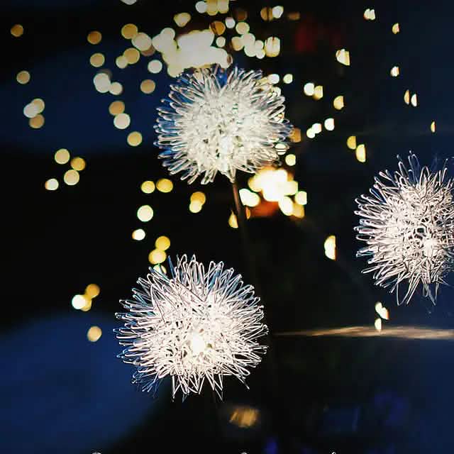 2-Pack: Outdoor Solar Dandelion Lawn Lights