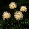 2-Pack: Outdoor Solar Dandelion Lawn Lights