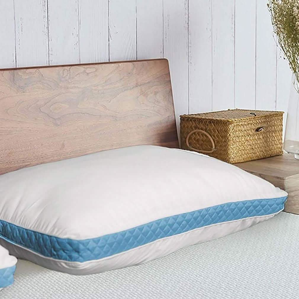 2-Pack: Premium Gusseted Pillows