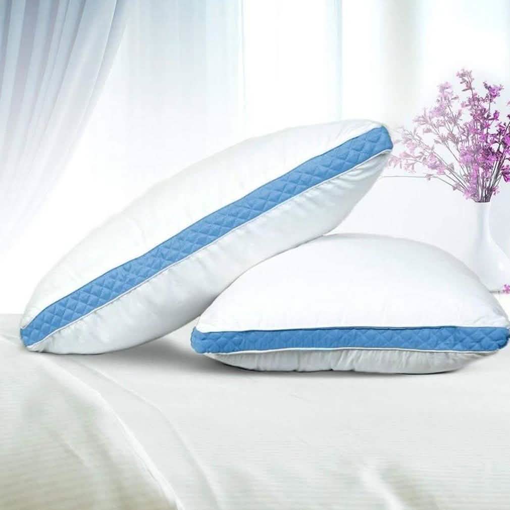 2-Pack: Premium Gusseted Pillows