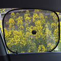 2-Pack: Rear Window Sunshades