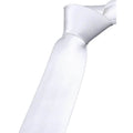 2-Pack: Solid Colored Pure Color Neck Ties