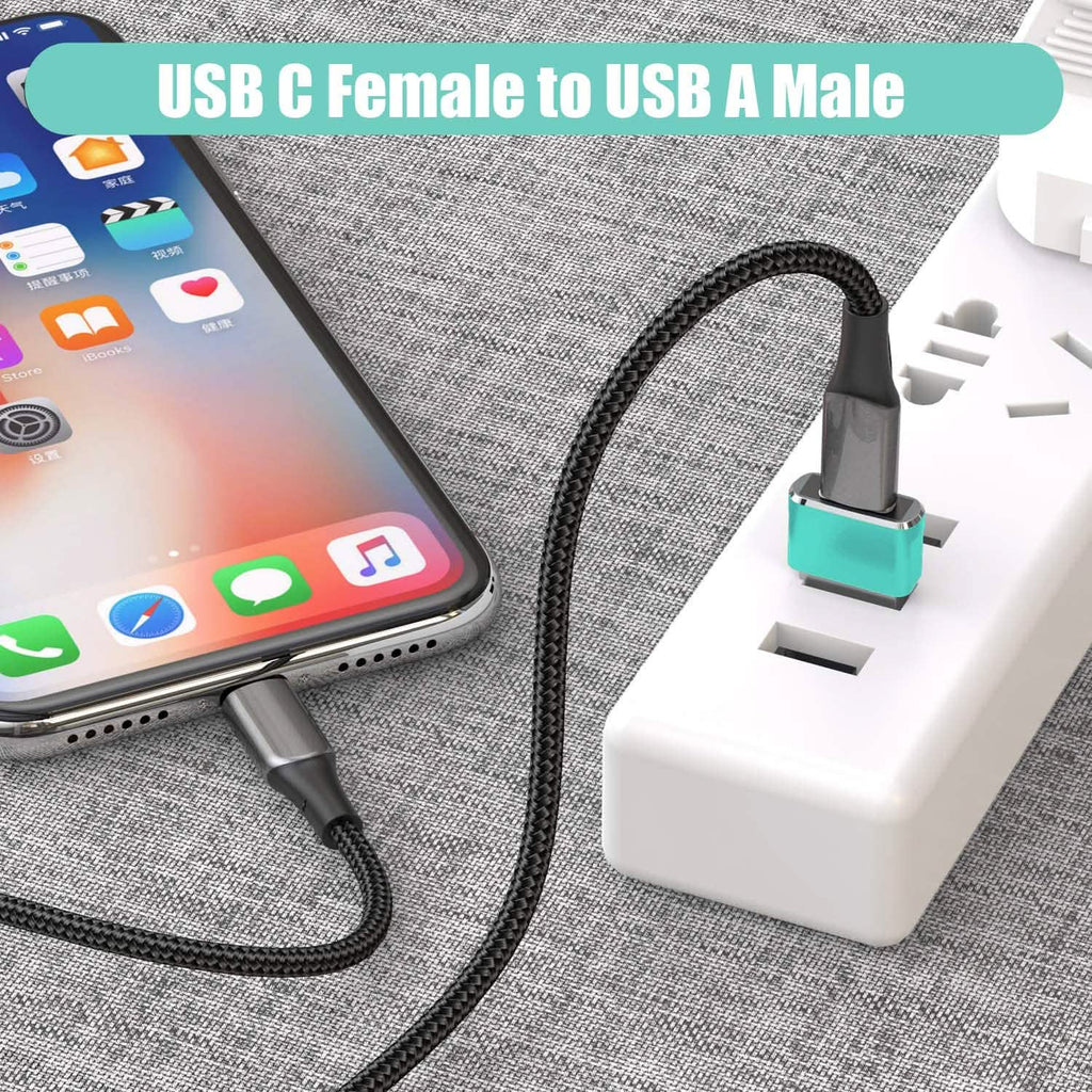 2-Pack: USB C Female to USB Male Adapter