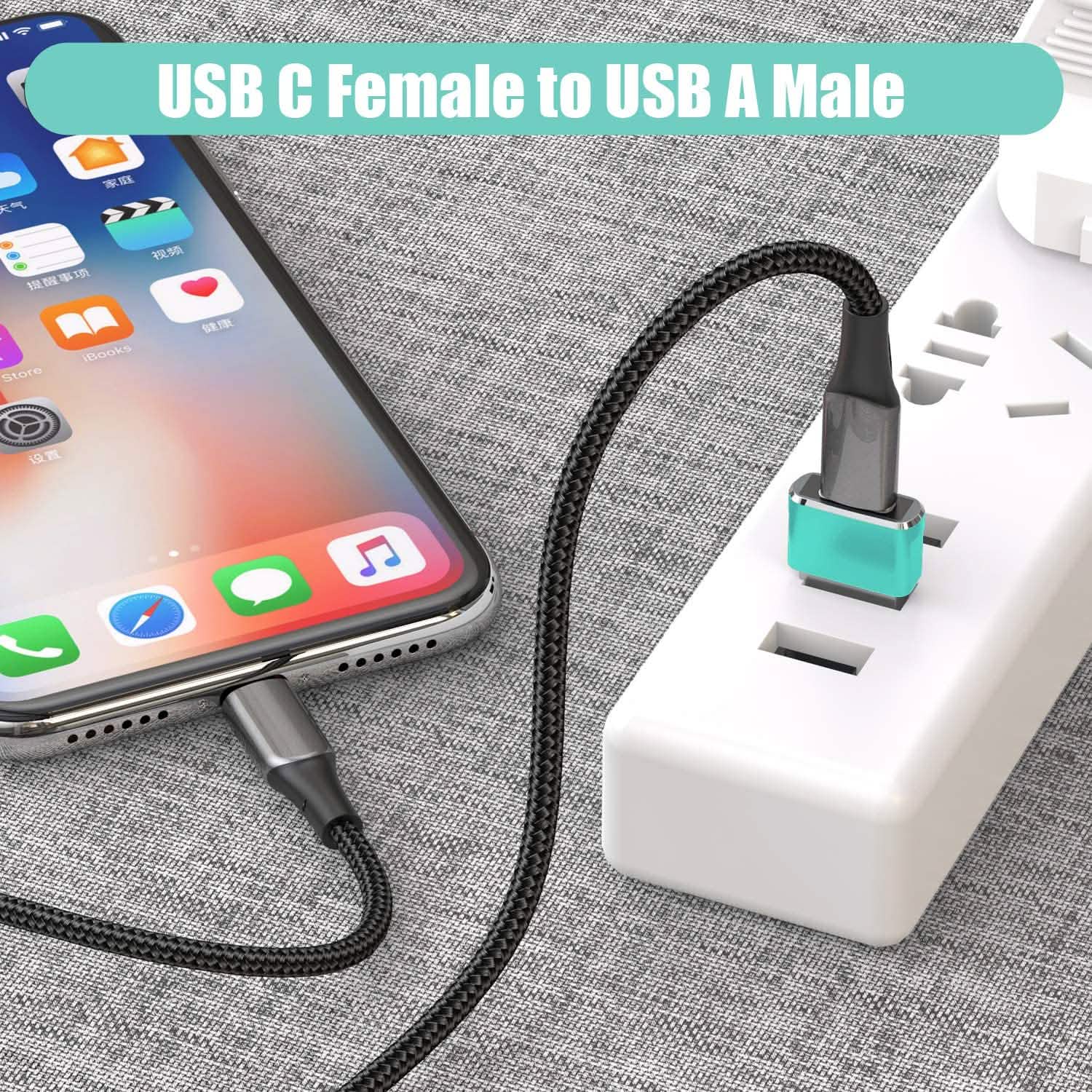 2-Pack: USB C Female to USB Male Adapter