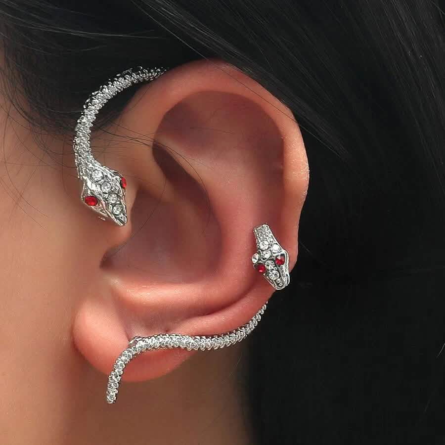 2-Piece: Snake Design Earrings