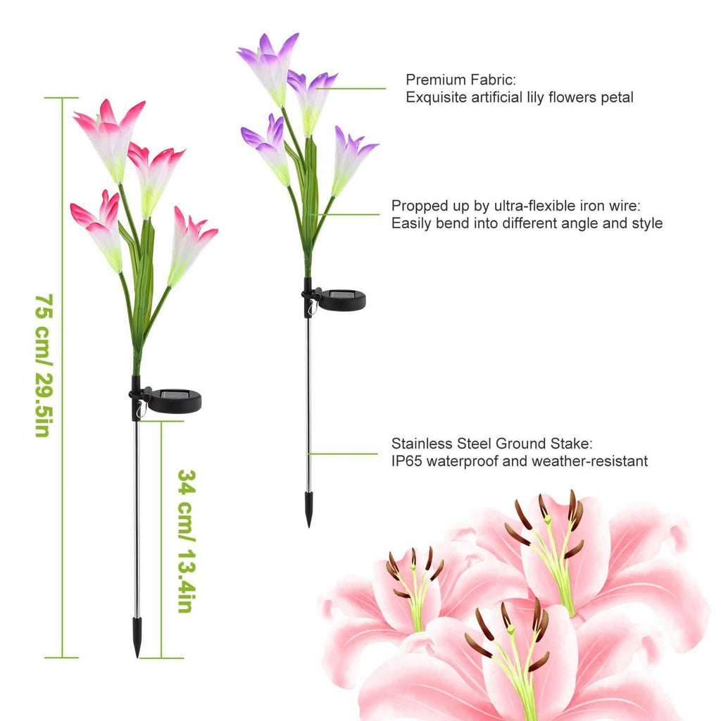 2-Pieces: Solar Garden Lights Outdoor