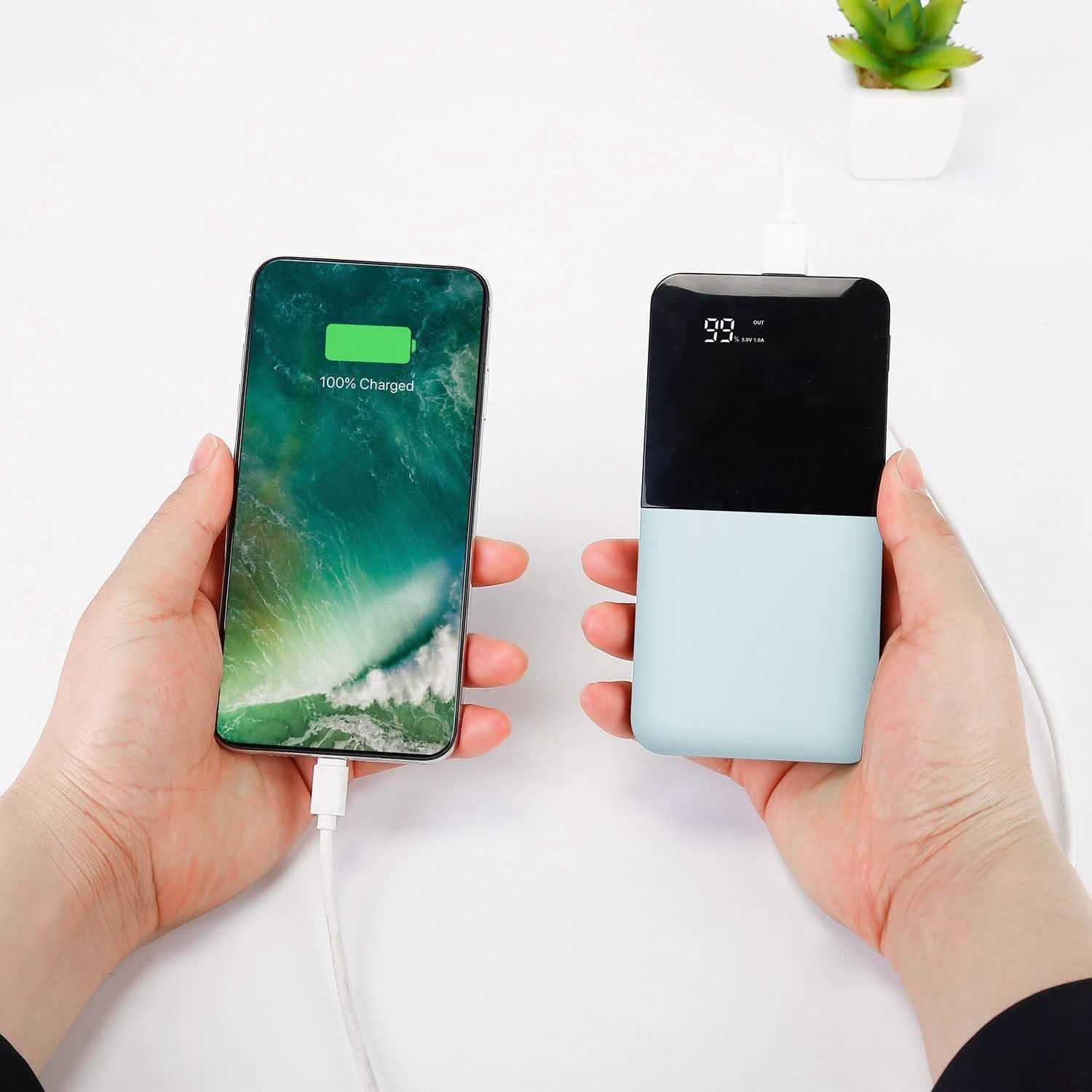 20000mAh Portable Charger Power Bank
