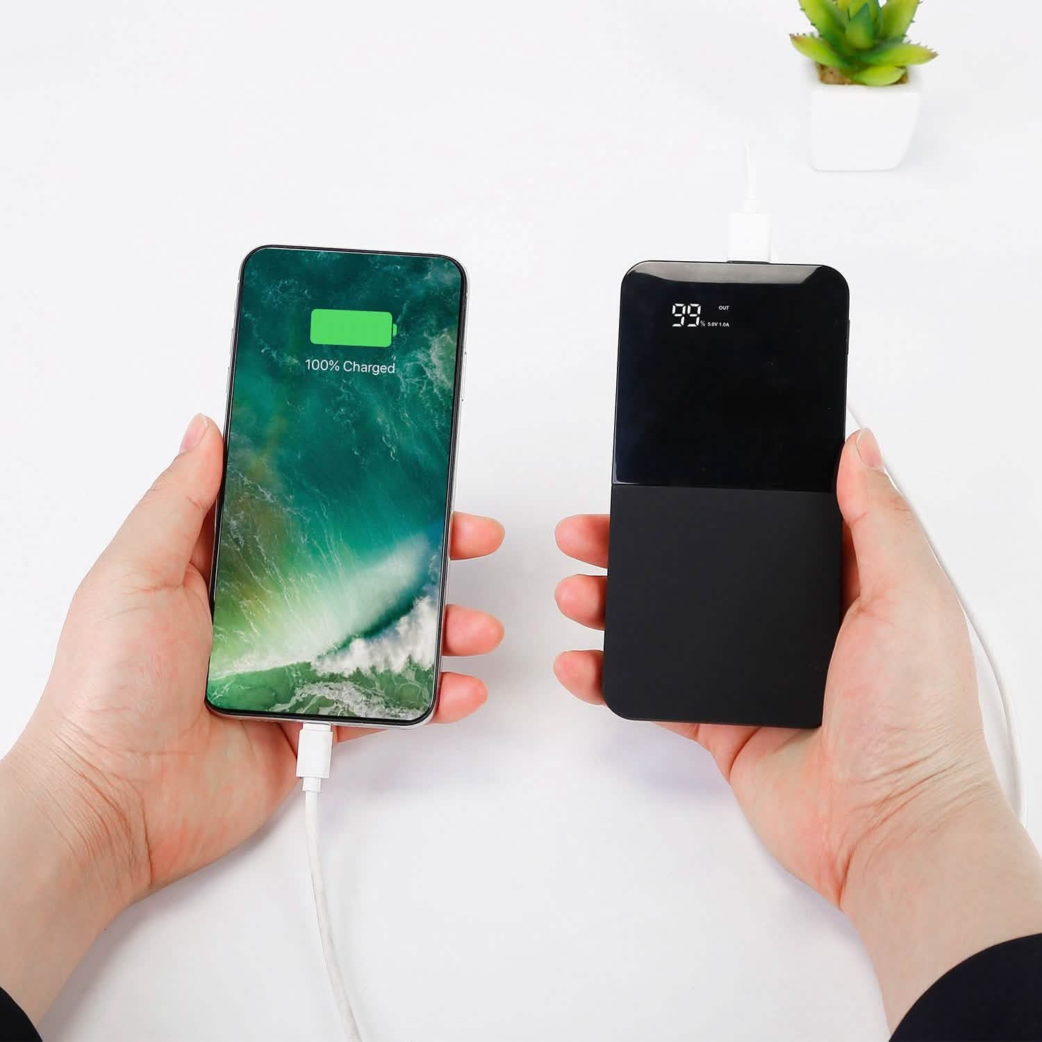 20000mAh Portable Charger Power Bank