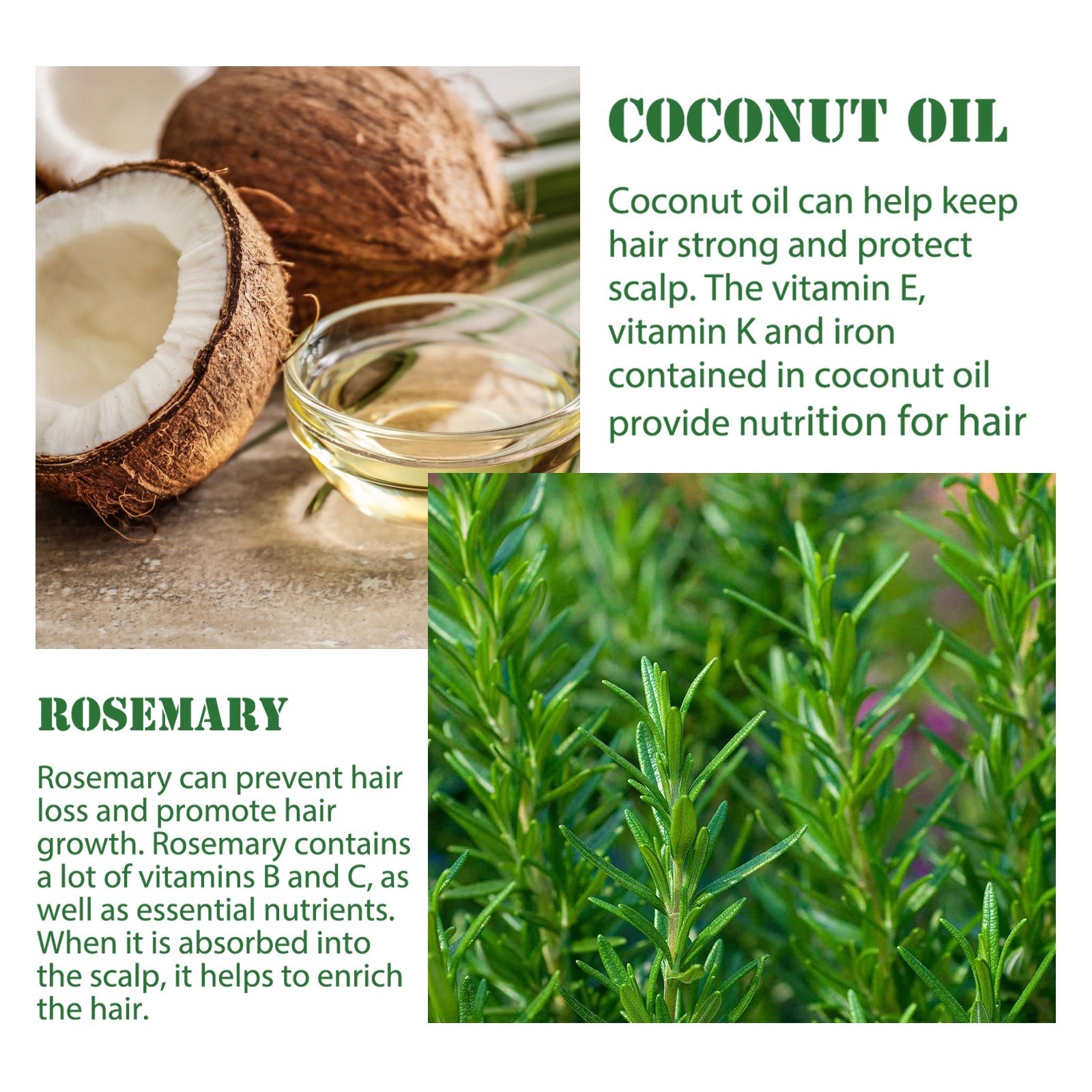Rosemary Hair Dense Essential Oil, Prevent Hair Breakage And Hair Loss Strong, Strong And Solid Hair Moisturizing Root Dense Essential Oil