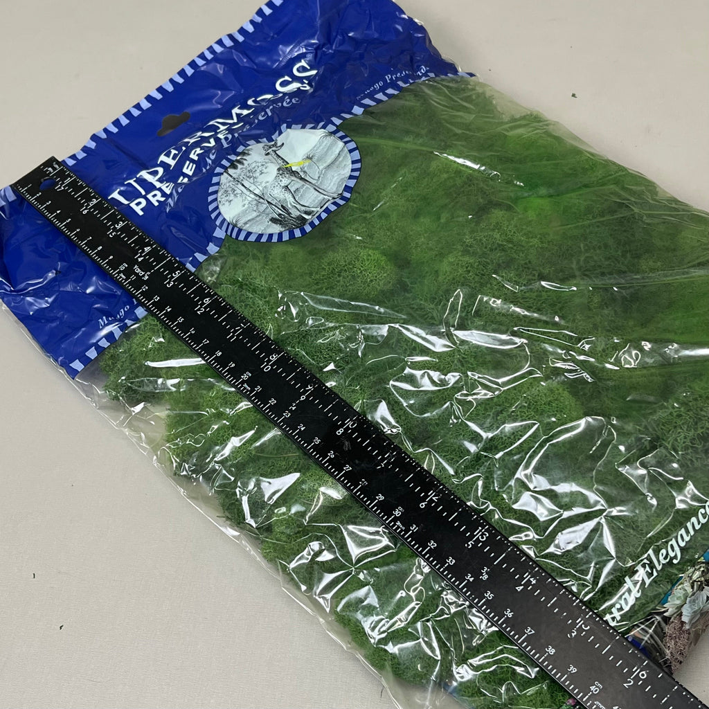 SUPER MOSS Long-Lasting Washed Preserved Reindeer Moss 326 Cubic inches Basil