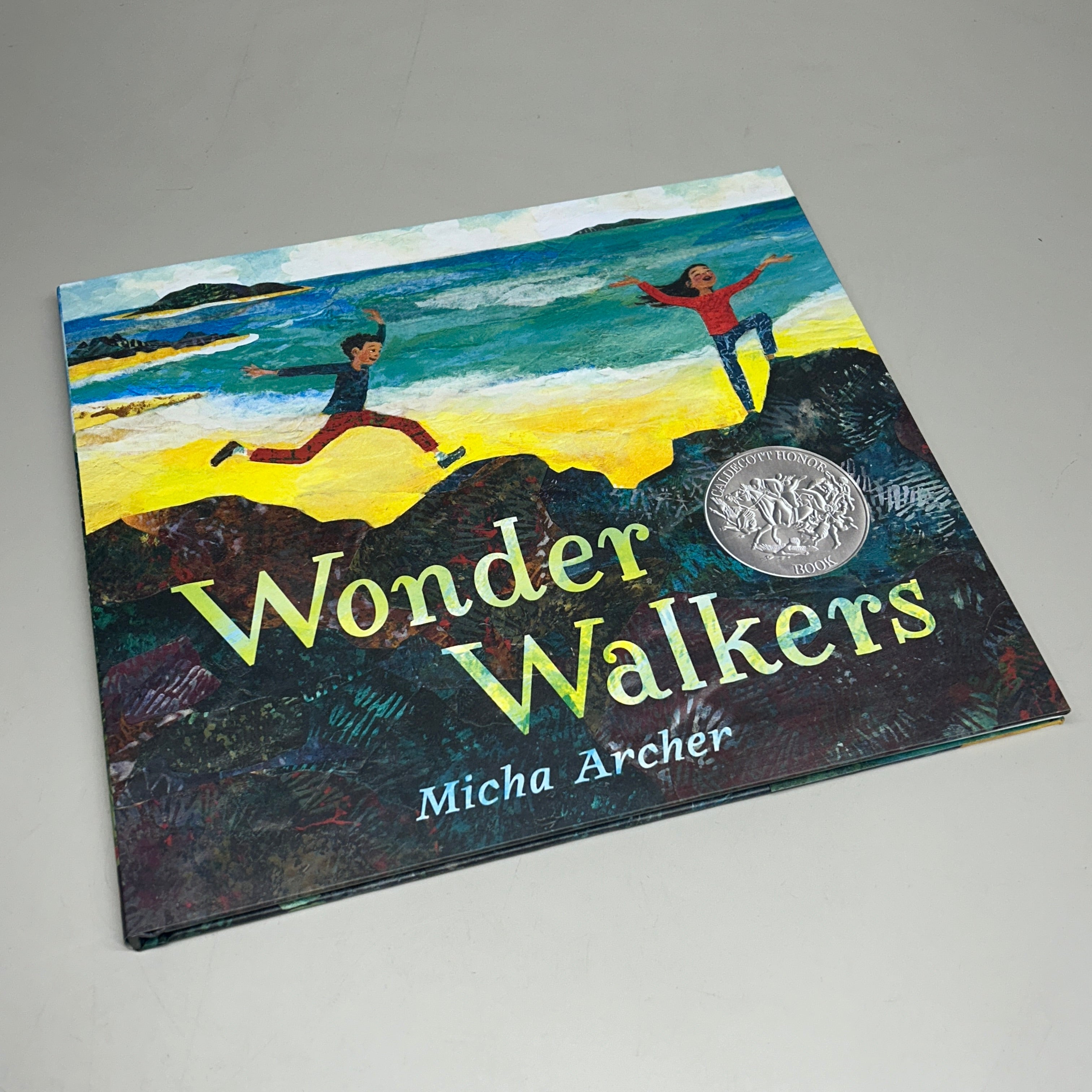 WONDER WALKERS By Micha Archer Hardcover (New)