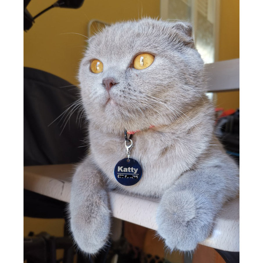 Cat And Dog ID Label Carving Personalized Pendant