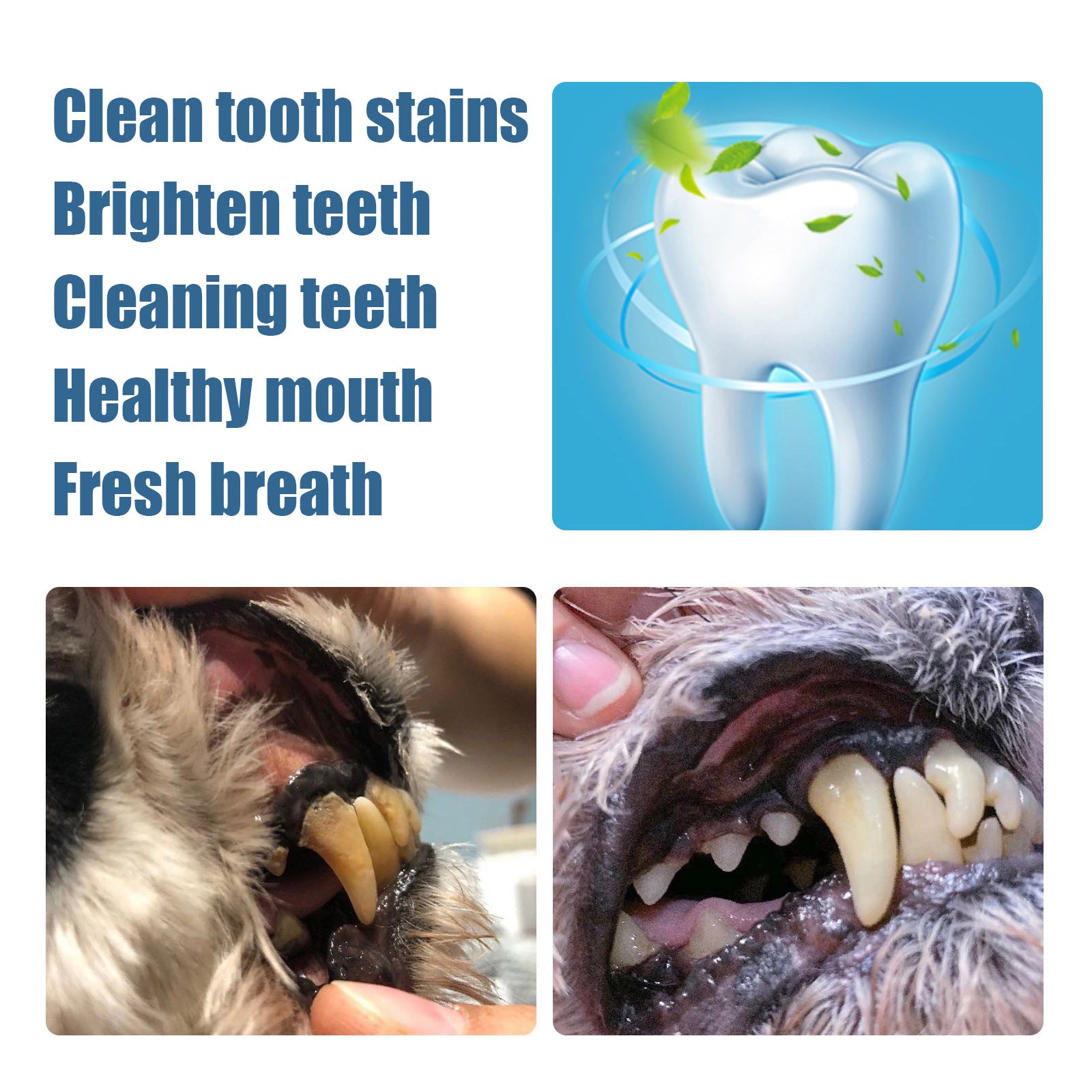 Pet Tooth Beauty Pen Dog Cat Cat Dog Pet tooth cleaning pen tartar stone cleaning tool
