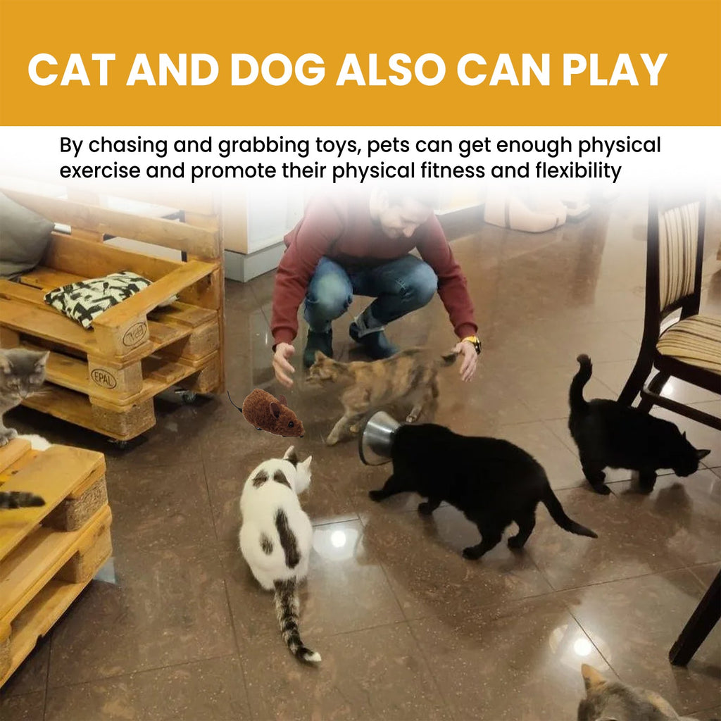 Interactive Smart Mouse Toy, Cats And Dogs Like A Mouse Sound Relief Plush Toy