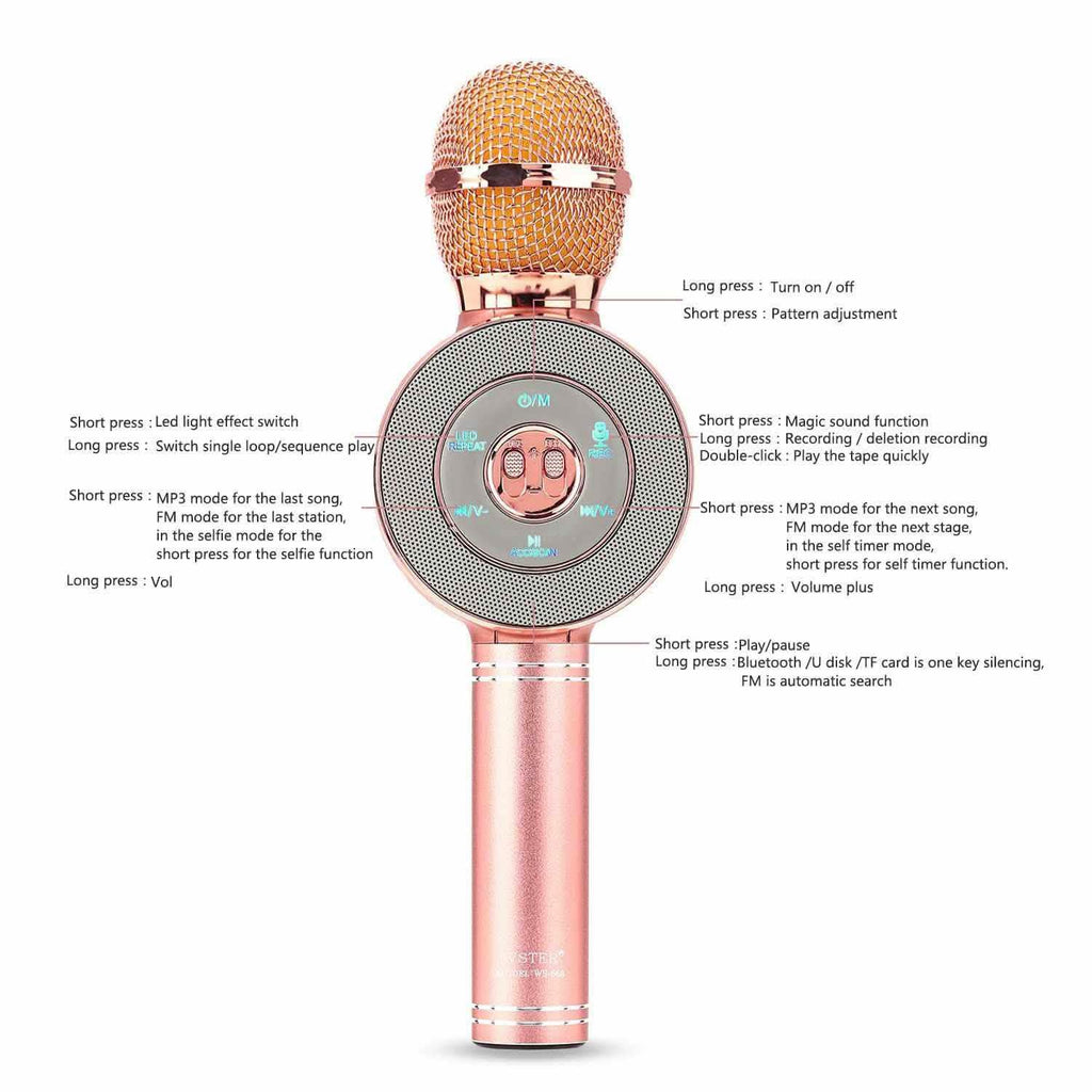 3-in-1 Wireless Karaoke Microphone