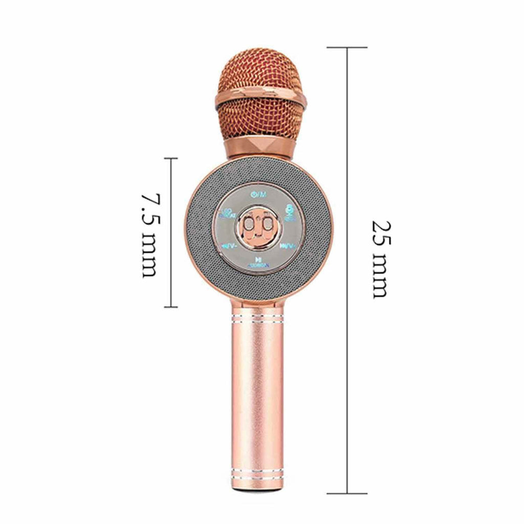 3-in-1 Wireless Karaoke Microphone