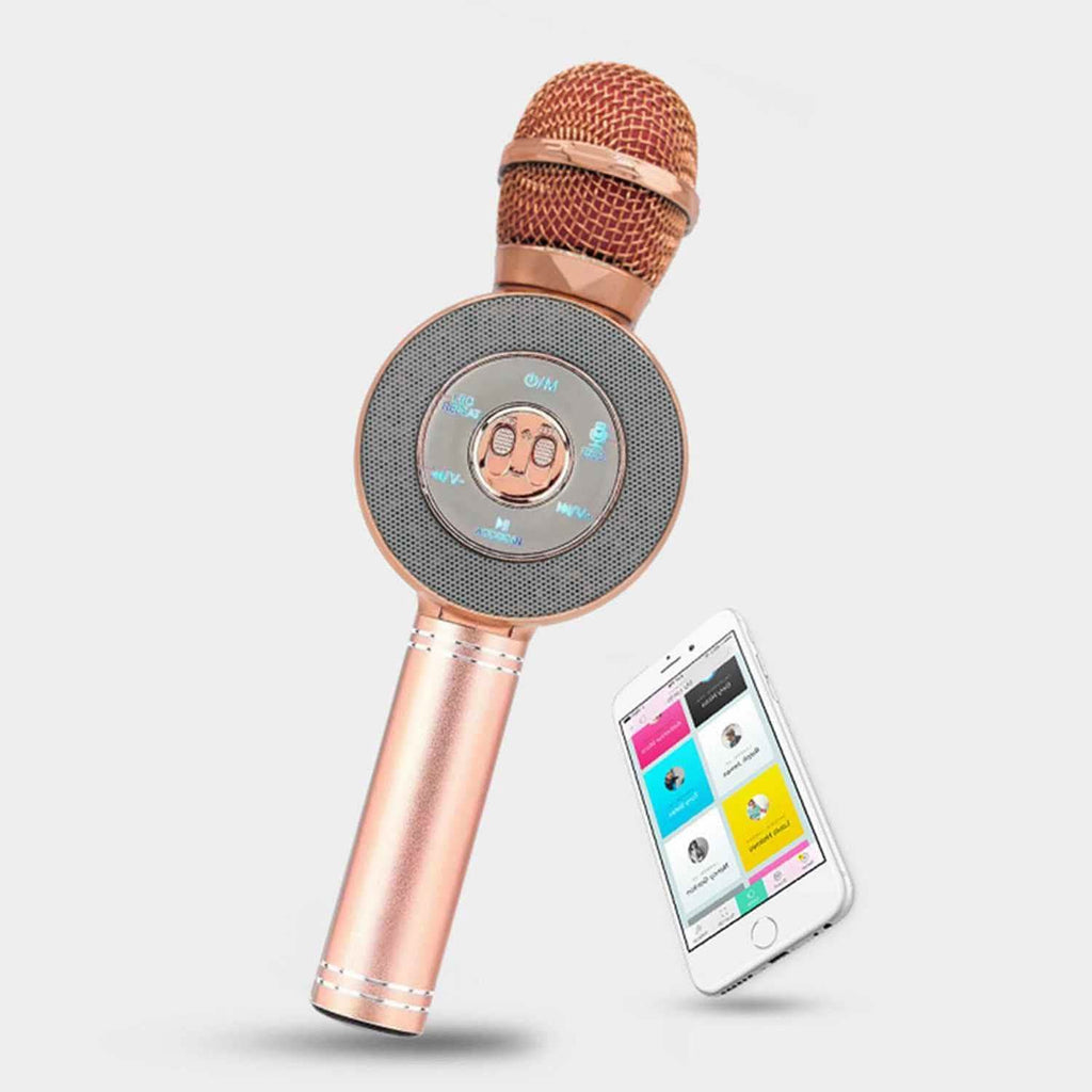 3-in-1 Wireless Karaoke Microphone