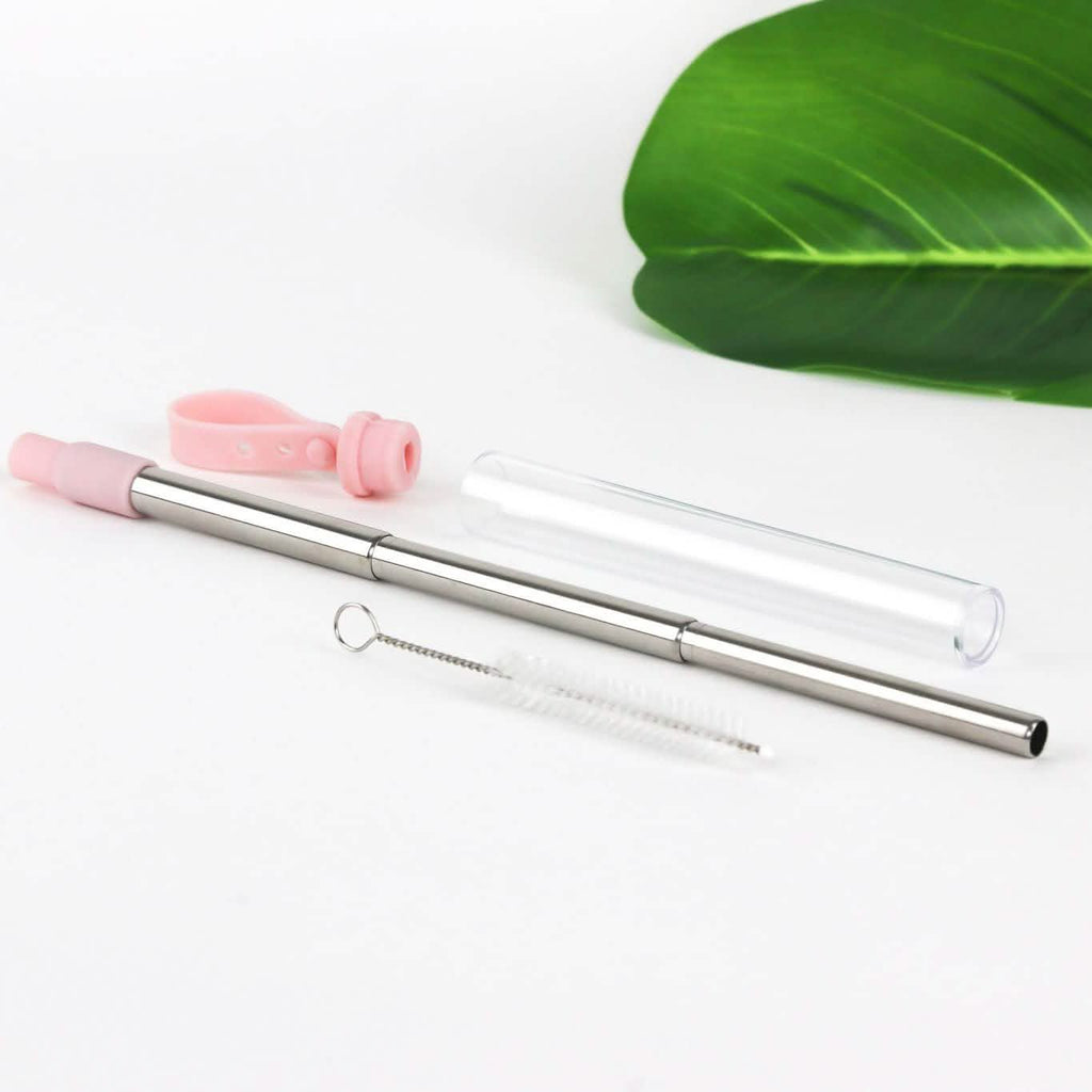 3-Pack: Expandable Steel Straw