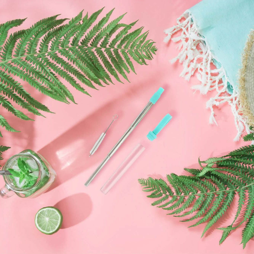 3-Pack: Expandable Steel Straw