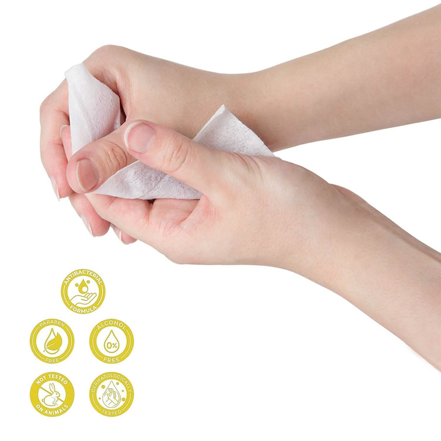 3-Pack Of Fresh N Clean Antibacterial Wipes