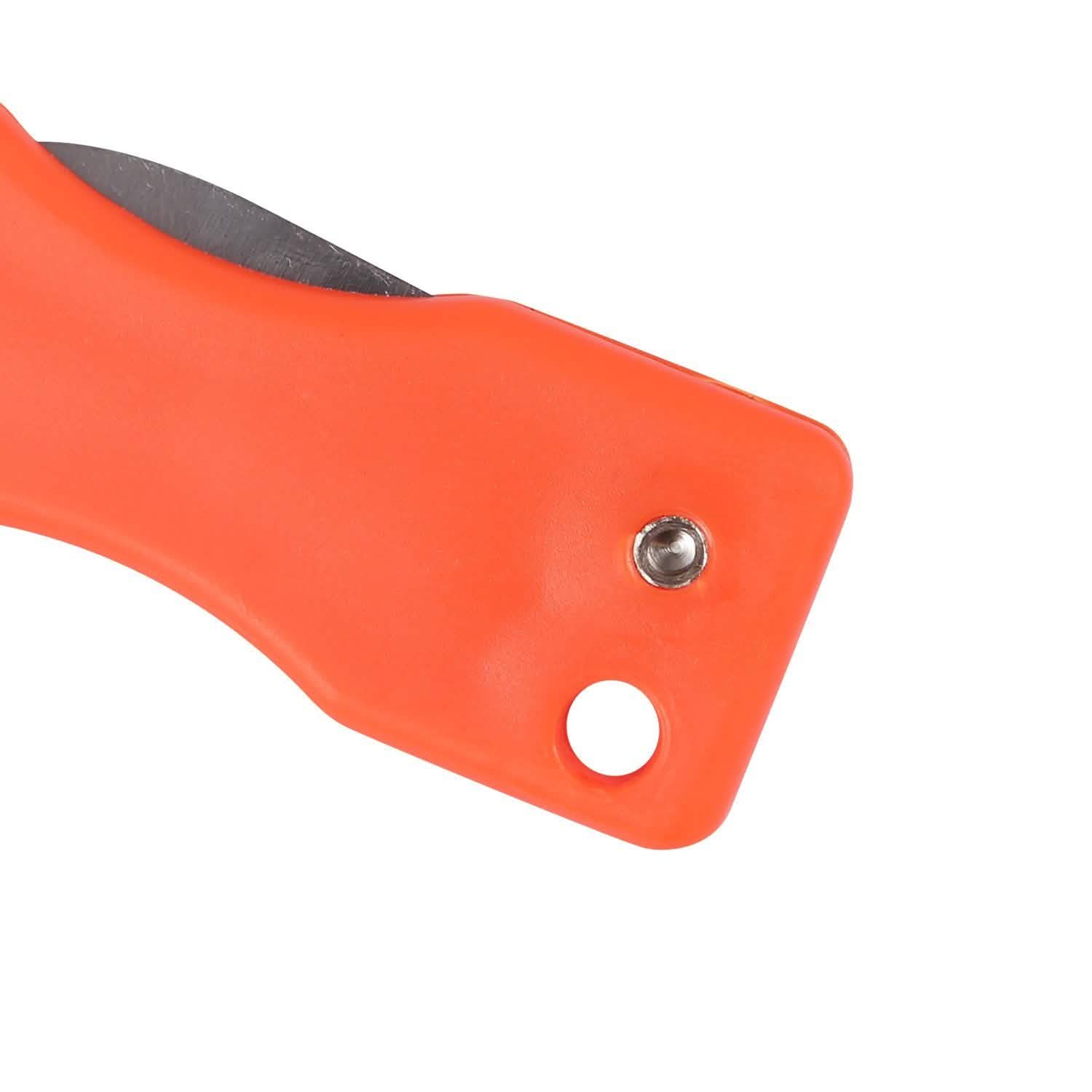 3-Piece: Fish Scale Remover