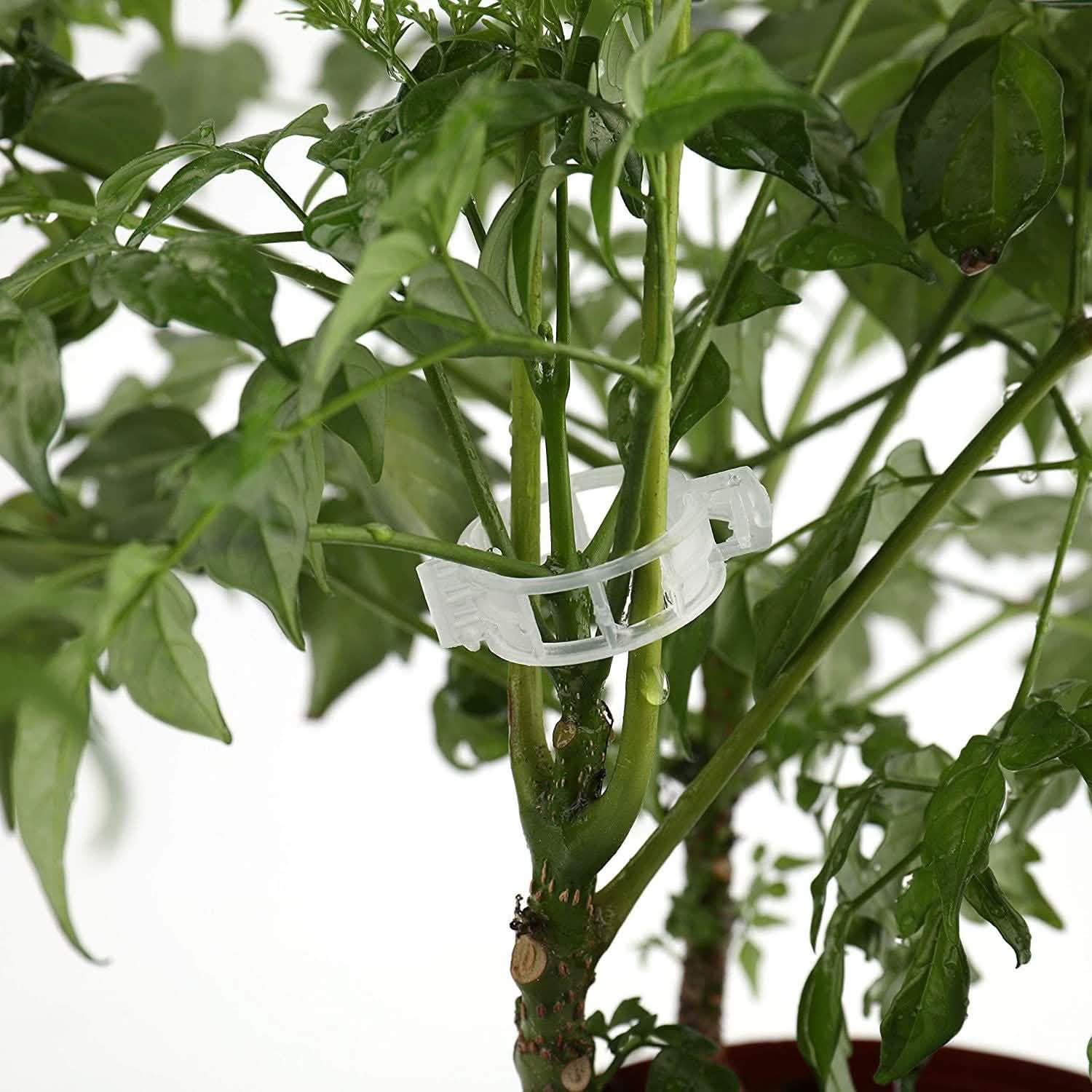 300-Pieces: Garden Plant Support Clips