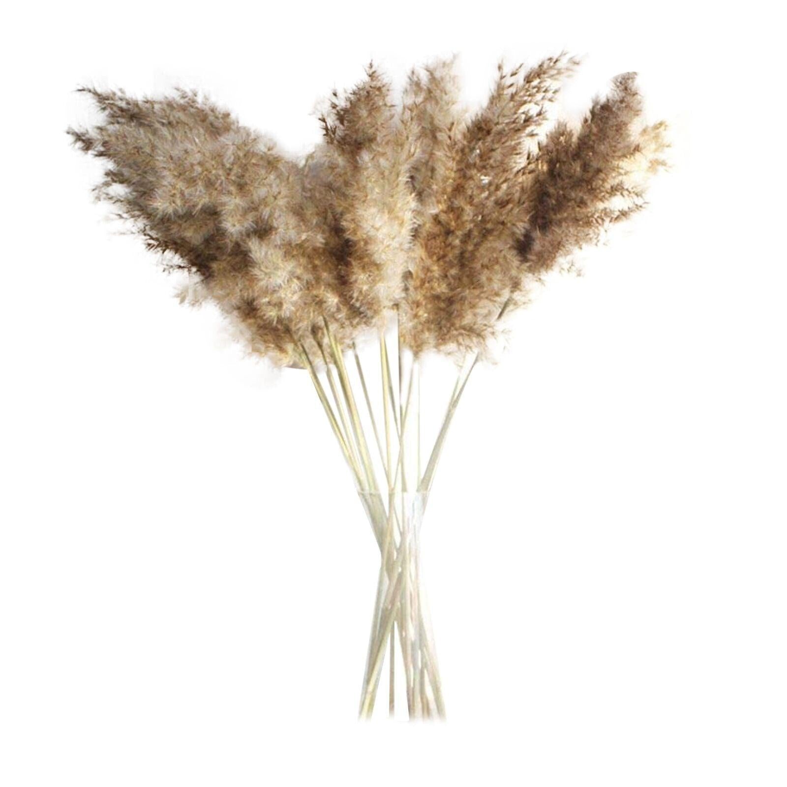 30/50pcs Bulrush Natural Dried Small Pampas Grass Artificial Decor Wedding Flower Bunch Home Office  Floor Vase Filler for Living Room Kitchen And Event Decoration