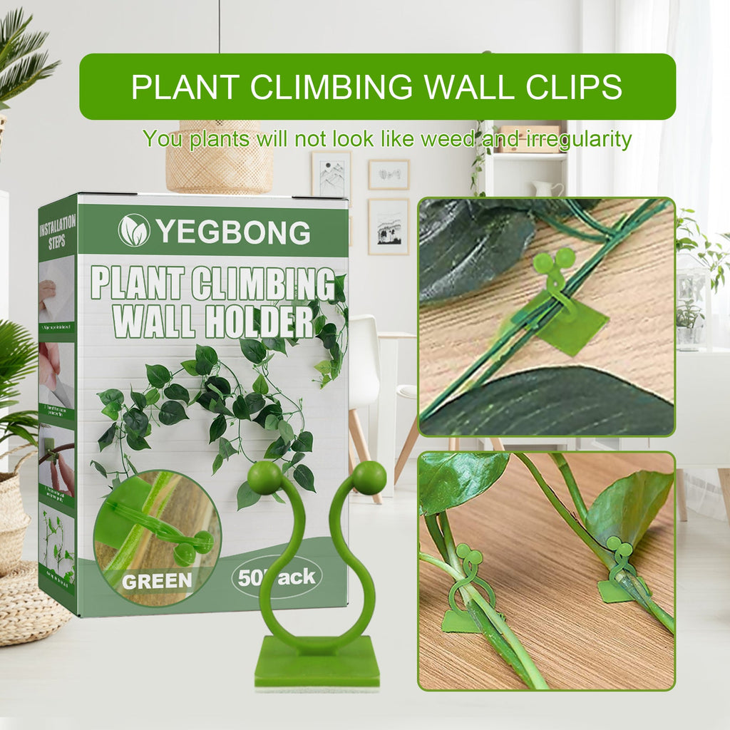 Plant Climbing Wall Holder, Household Vine Plant Wall Climbing Self-adhesive Retainer
