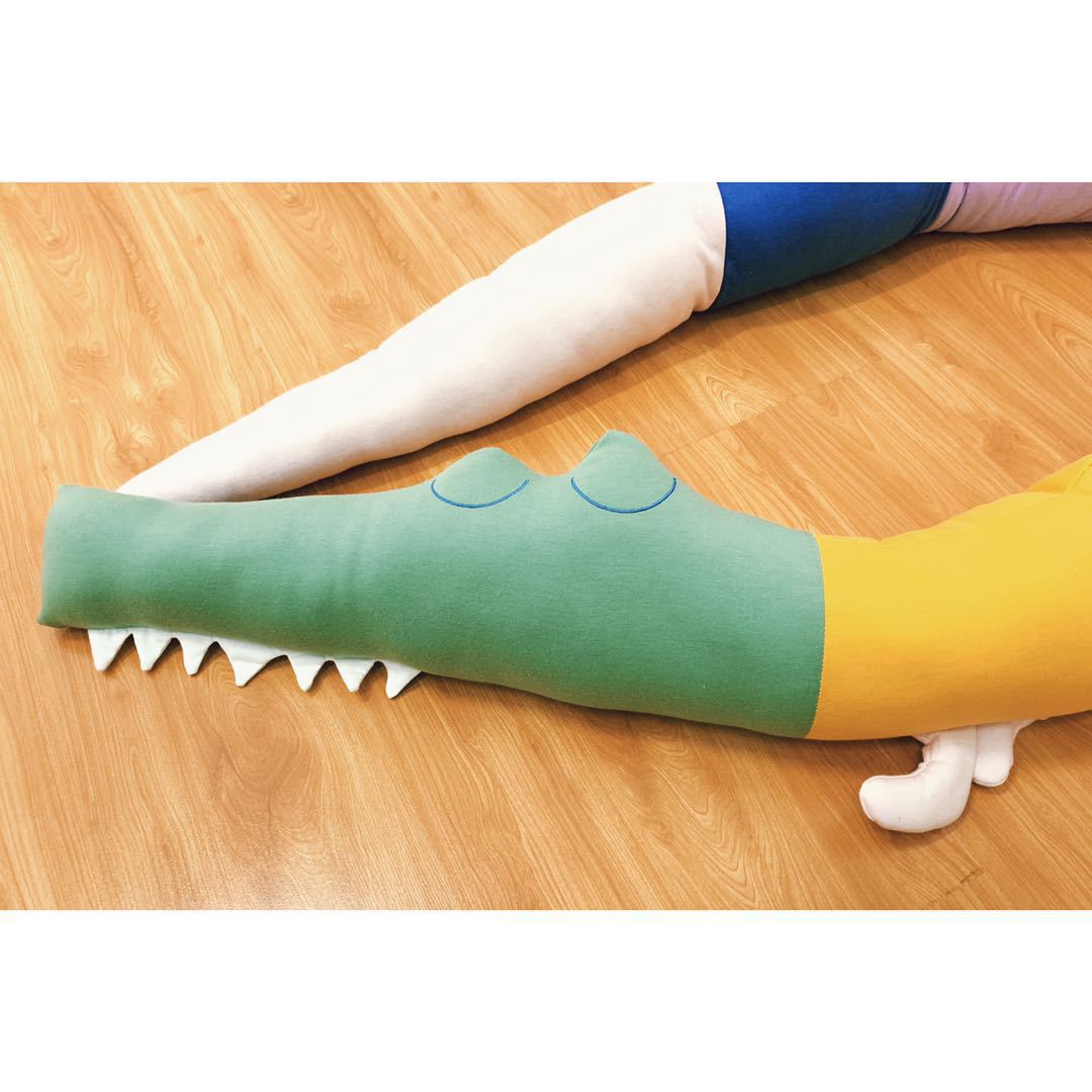 Childrens Rainbow Animal Hug Pillow
