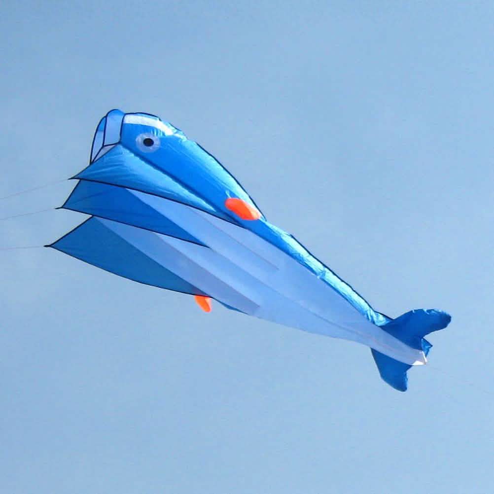3D Kite Frameless Soft Giant and Parafoil