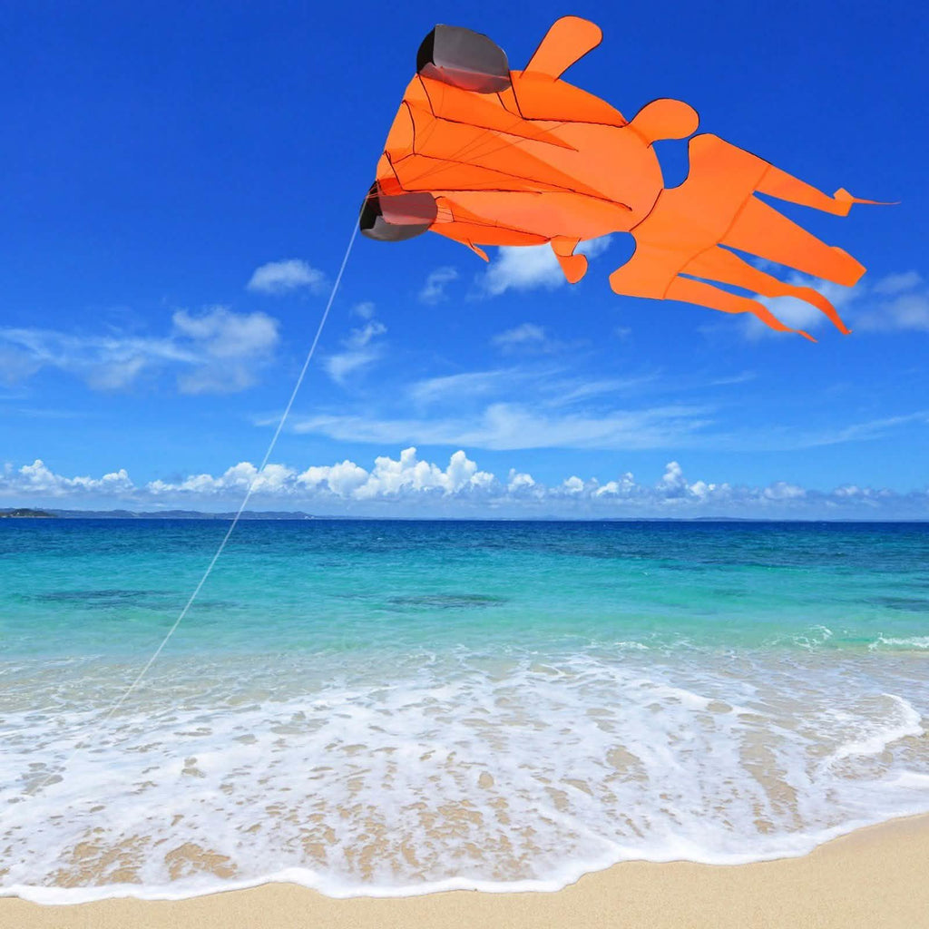 3D Kite Frameless Soft Giant and Parafoil