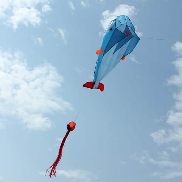 3D Kite Frameless Soft Giant and Parafoil