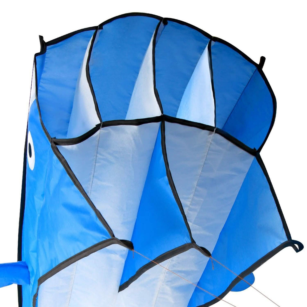 3D Kite Huge Frameless Soft Parafoil Giant Dolphin
