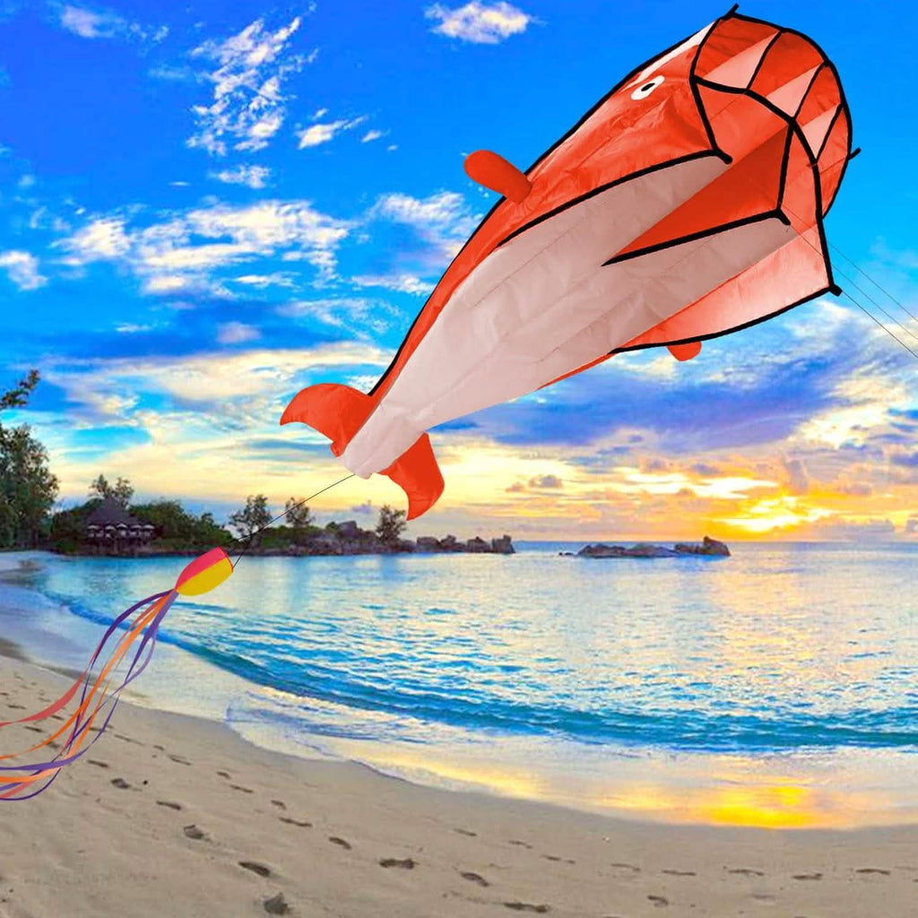 3D Kite Huge Frameless Soft Parafoil Giant Dolphin