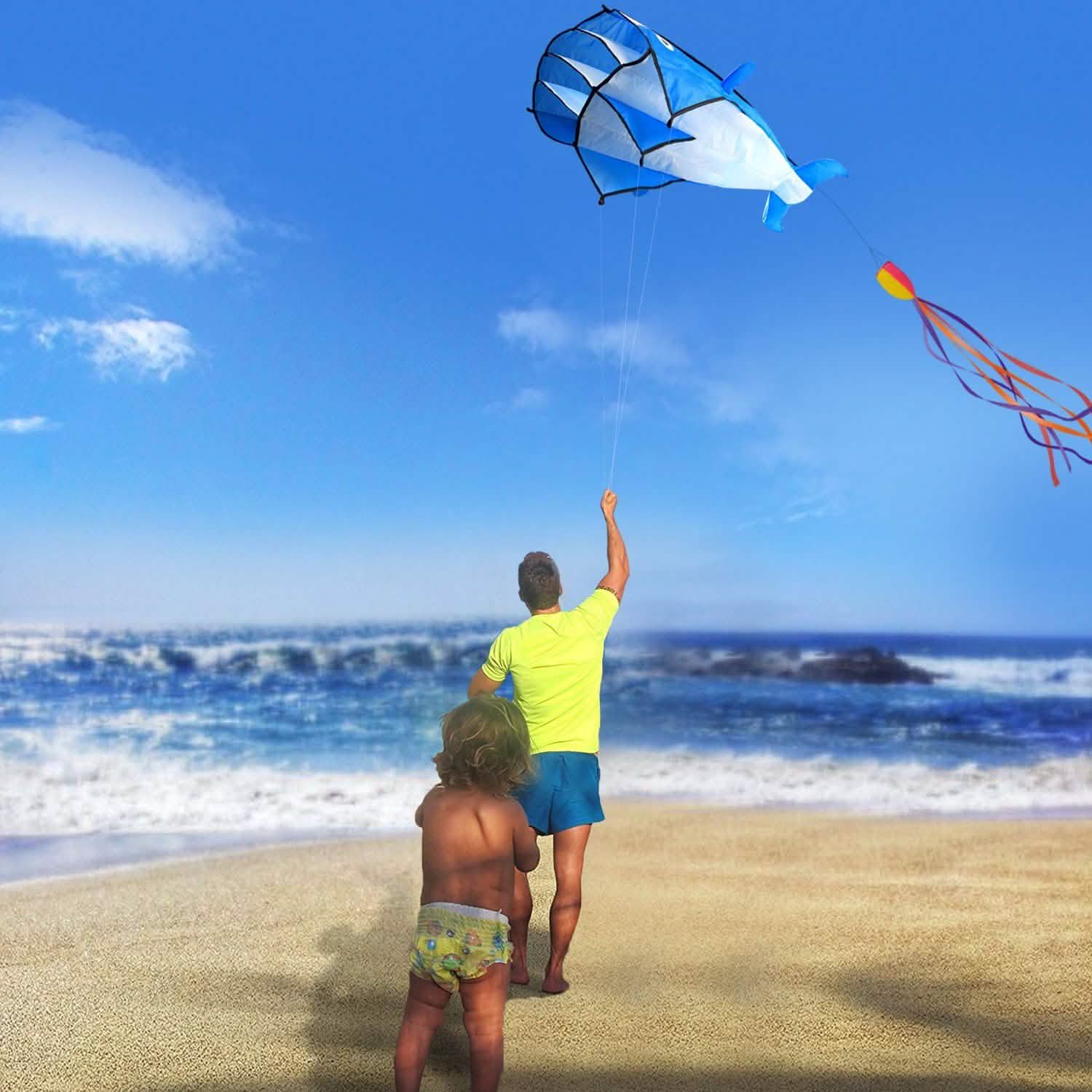 3D Kite Huge Frameless Soft Parafoil Giant Dolphin