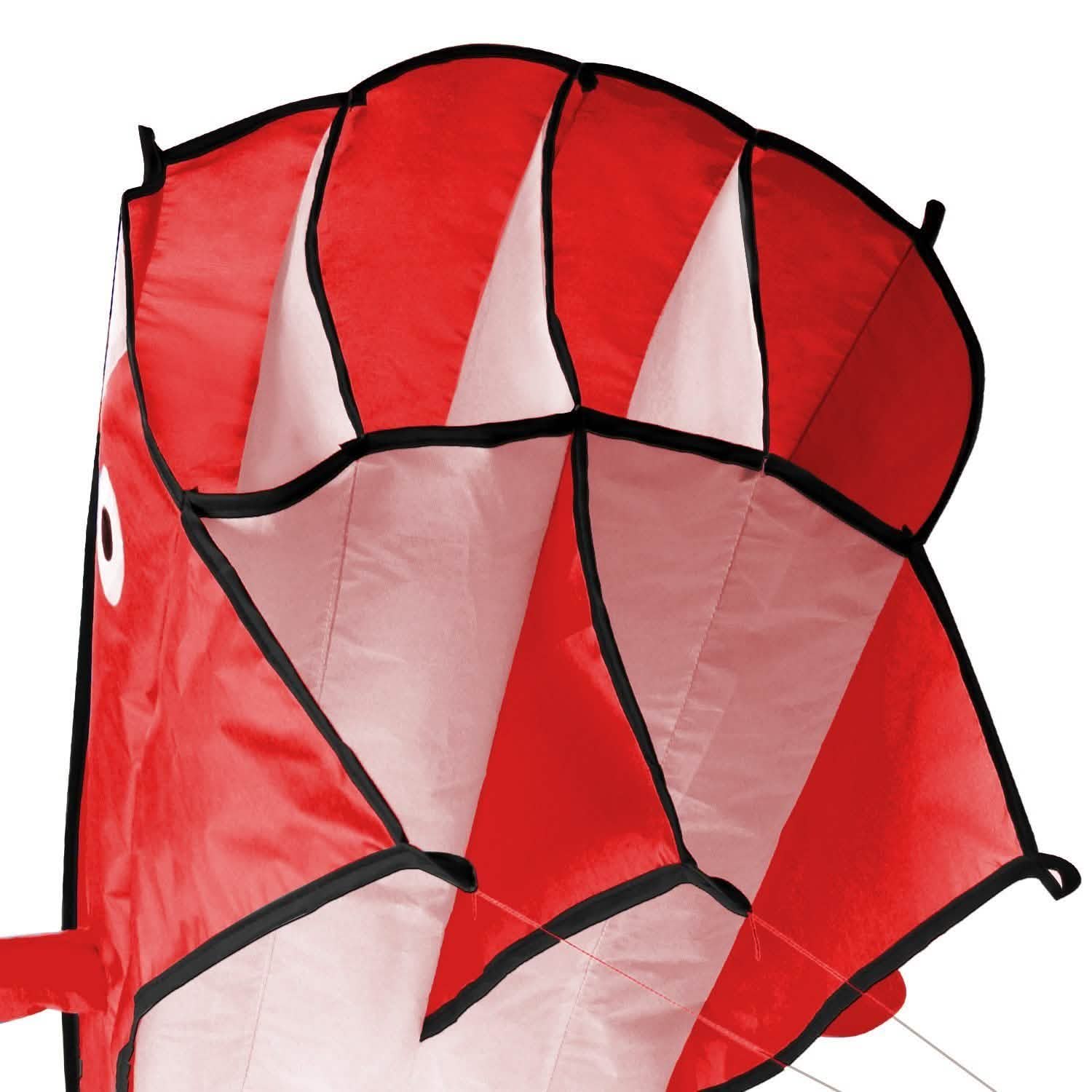 3D Kite Huge Frameless Soft Parafoil Giant Dolphin