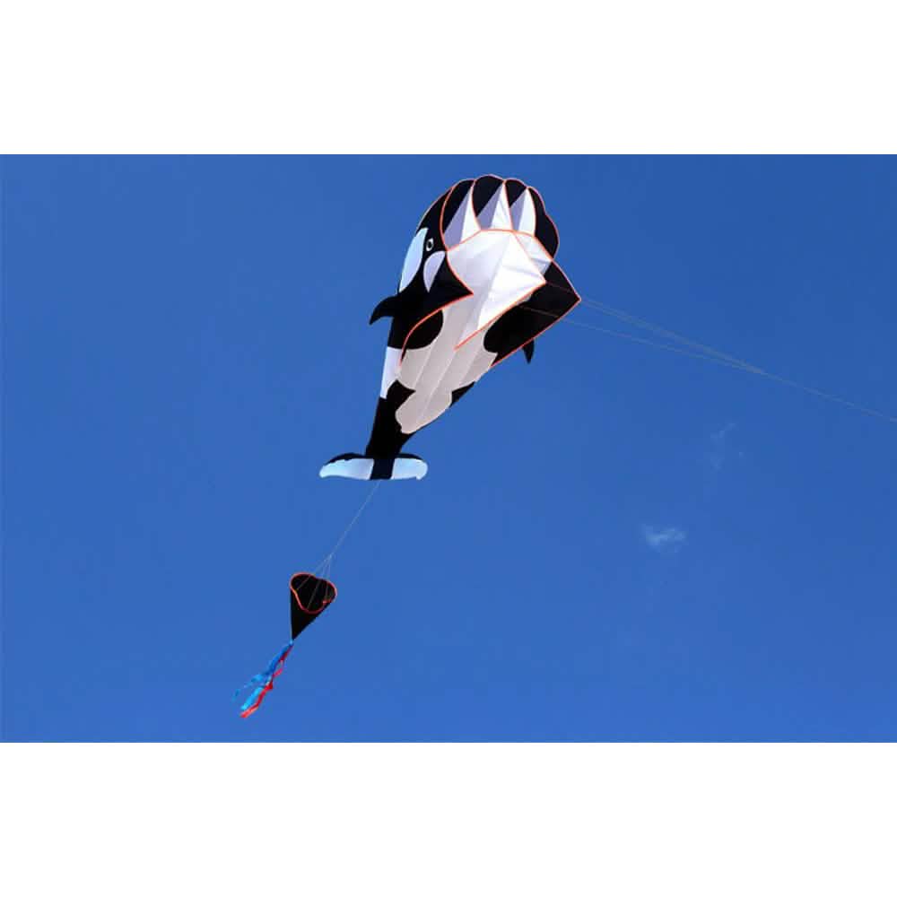 3D Whale Kite for Kids and Adults