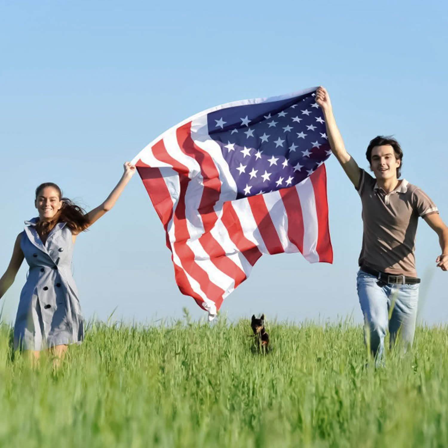 4-Pack: American US Flags