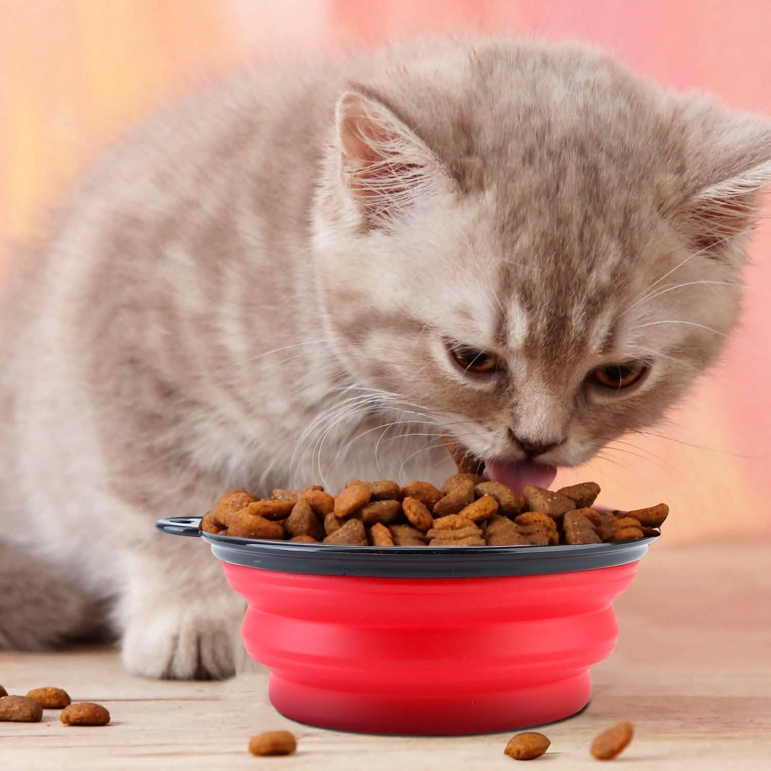 4-Pack: Silicone Collapsible Dog or Cat Food Water Bowl