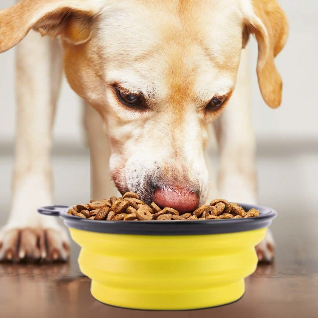 4-Pack: Silicone Collapsible Dog or Cat Food Water Bowl