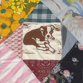 Mapache - Roscoe's Dream - Music CD